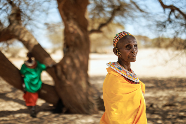 The Rendille of Korr