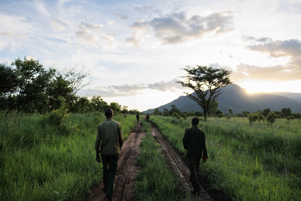 Community Wildlife Scouts of Orom Conservancy. These men, who are usually sourced from the community use bangas and vuvuzelas to scare away elephants from entering their gardens. They also warn communities on their invasions. The initiative is part of Umoja Wildlife Conservancies of Uganda, founded in 2021, dedicated to empowering communities and landowners to conserve and manage wildlife on their land.