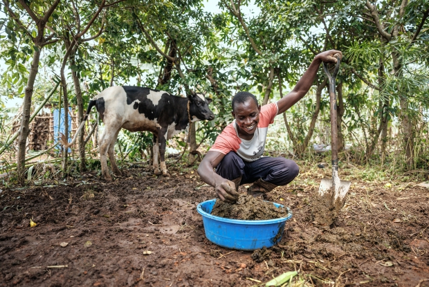 Moise collects cow dung from his kraal for use in the biodigester which CARE constructed at his home in Kyangwali refugee settlement. After fleeing Congo,  Moise and his wife Luwize found stability in the Kyangwali Refugee Settlement and have so far lived there for 8 years and they now have three children, including a set of twins. Through a blend of mixed farming practices, the couple demonstrates their unwavering commitment to sustain the livelihood of their family. &copy; CARE / Jjumba Martin 2024.