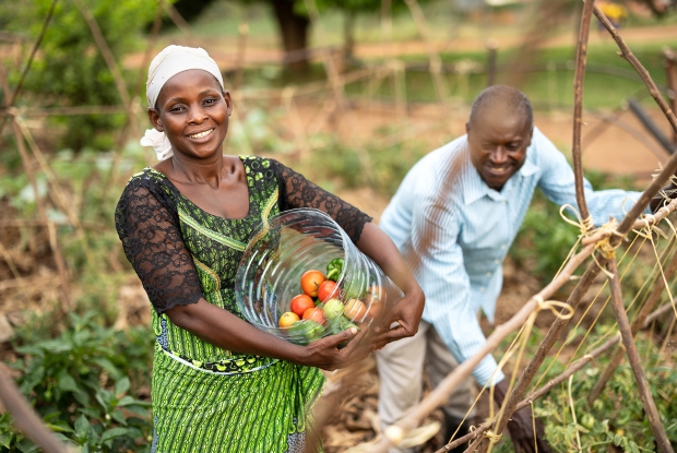 Mutesi and her husband, Gistavi use Bio-slurry as a natural fertilizer. The two fled from Congo and have resided in the Kyangwali settlement for over a decade.