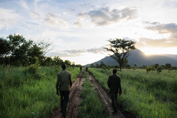 Community Wildlife Scouts of Orom Conservancy. These men, who are usually sourced from the community  use bangas and vuvuzelas  to scare away elephants from entering their gardens. They also warn communities on their  invasions.