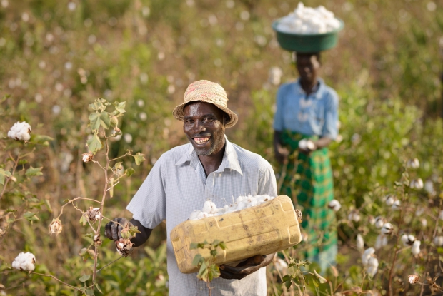 With support from AgDevCo and the Smallholder Development Unit, the Gulu Agricultural Development Company (GADC) started the process of agricultural transformation in Northern Uganda. It is empowering returning subsistence farmers like Ayoo and developing their agricultural, financial and business skills. It connects fields to markets and producers to exporters. In the 1960s, northern Uganda had a thriving agricultural sector and was one of sub-Saharan Africa&rsquo;s largest cotton producers. However, since that time, it has been troubled by conflict. The activities of the Lord&rsquo;s Resistance Army created a civil war that at its peak in 2005, left 1.8 million northern Ugandans living in camps, without access to their farmlands. Many families lost their homes in the conflict. Young people also lost the chance to learn farming skills as they grew up away from the land. &copy; Jjumba Martin, AgDevCo 2018 (Kitgum Uganda)