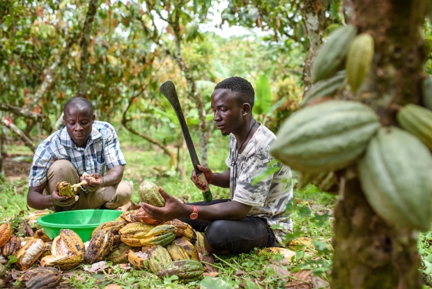 03-ICAM-Bundibugyo-Jjumba-Martin