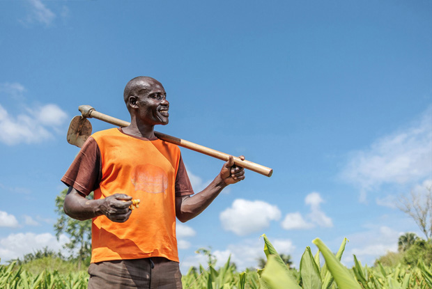 Joseph Nyakuni, a potato and turmeric Farmer in Obio village, Omugo sub-county, Terego district, northwestern Uganda. He grows both Naspot and Beauregard varieties of potatoes. Naspot 1 and Beauregard are both improved varieties of sweet potato that have been tested in Uganda. They are known for their large size, red skin and orange flesh &copy; Jjumba Martin, DCA 2022.