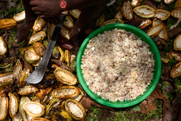 04-ICAM-Bundibugyo-Jjumba-Martin