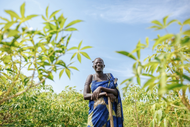 Salome standing proudly in her cassava garden. - Salome, a mother of six left her home in South Sudan in September 2016. When in Bidibidi refugee settlement, she made the strategic decision to pursue both farming and a retail business. However, it was in the world of agriculture that she truly found her stride.