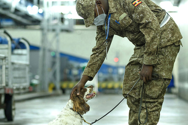 In the effort to Stop wildlife trafficking, African Wildlife Foundation (AWF) has deployed sniffer dogs to intercept smuggled wildlife products in a program called &ldquo;Canines for Conservation&rdquo; This program trains detection units of wildlife rangers and sniffer dogs and deploys them to strategic exit and entry ports. Primed to intercept even the smallest piece of wildlife products concealed in the most clever ways, the teams are stationed at trafficking hotspots in Uganda, Kenya, Tanzania, Mozambique, and Botswana to intercept and deter offenders from using these routes, but also to collect evidence used to prosecute wildlife cases. Studies show that in East and Central Africa, South Sudan, and Uganda are critical smuggling points for elephant tusks, pangolin scales, hippo teeth, and other wildlife as they make their way mainly to East Asia. Shot On assignment with the African Wildlife Foundation (AWF) 2020