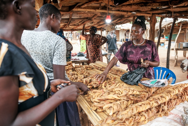 Jane, with two others, joined forces to form the &ldquo;God's Given Group.&rdquo; United by their shared dreams and aspirations, they embarked on a journey towards economic empowerment with the support of Mercy Corps and Village Enterprise, who gave chickens to the group to, kick-start their path to prosperity. Over time, they ran a chicken business that kept growing. Today, the God's Give Group stands tall as a testament to the transformative power of collaboration and Dawa has branched off to set up a dried fish business in the local market. This fish, locally known as Nauk, is popular among the Sudanese community and she imports it from Sudan.