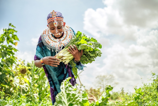 13/03/2025 Logologo , Marsabit county, Kenya. - Hirsi's interest to maximize profits led her to start a vegetable stall outside the butchery and then, the idea that she could grow some of her own vegetables kicked in.