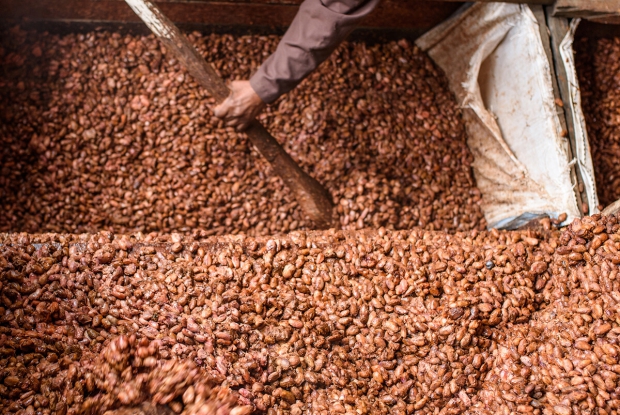 13-ICAM-Bundibugyo-Jjumba-Martin