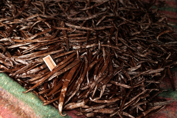 Buyers like enimiro have Vanilla traceability systems that track the journey of vanilla beans from the farm to the end consumer, ensuring transparency and accountability within the supply chain. This allows for the verification of quality, origin, and fair sourcing practices.