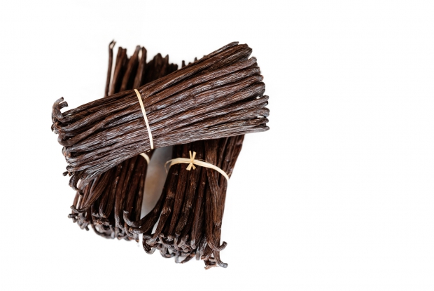 A cured vanilla sample from In Enimiro Products Uganda Limited. CRS has supported the company to standardize its food safety and processing processes to meet international standards.  Enimiro is a vanilla exporting company.