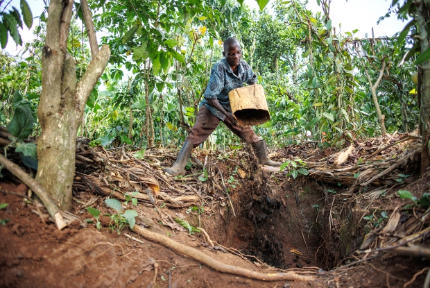 25 November 2022, Kayunga district, Uganda Juma Ssekandi pours waste in a pit to ferment, which will later be used as manure for soil fertility. Juma started growing vanilla three years ago and received training from CRS is yet to make his first harvest. Juma hopes to earn a decent income from his harvest that can cater for his immediate family&rsquo;s needs including paying school fees for his children.