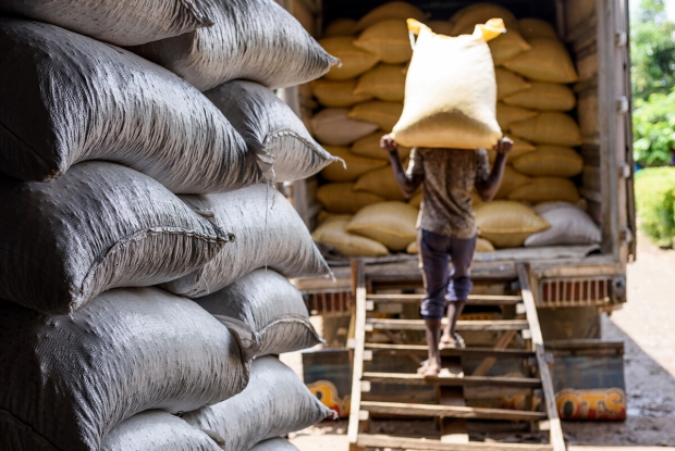 18-ICAM-Bundibugyo-Jjumba-Martin