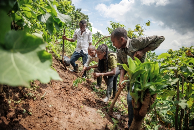 Activities like tree planting and intercropping are encouraged to help farmers build resilience to climate change, a growing concern in the agricultural sector, generally.