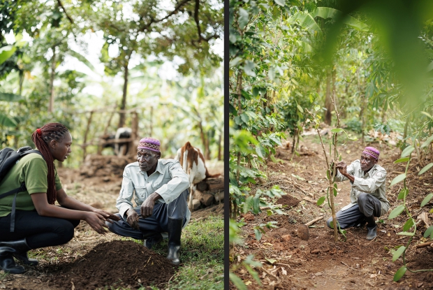 Farmers like Buyi benefit from extension services from Enimiro, a buyer from this region.  These services are focused on empowering smallholder farmers and promoting sustainable agriculture practices, particularly in vanilla cultivation. These services include training, technical support, and access to resources to improve farm management, product quality, and overall sustainability.