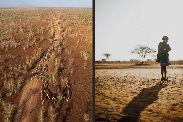An aerial view of a Caravan near Korr. Young men are usually in charge of herding the livestock and protecting them. They move their herds in response to seasonal changes in rainfall and vegetation.